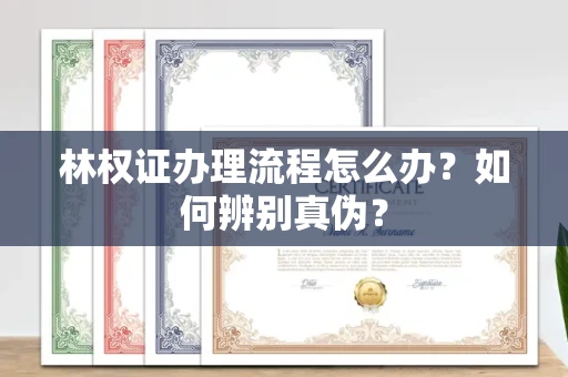 昆明林权证办理流程怎么办?如何辨别真伪?