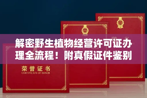 昆明解密野生植物经营许可证办理全流程!附真假证件鉴别方法