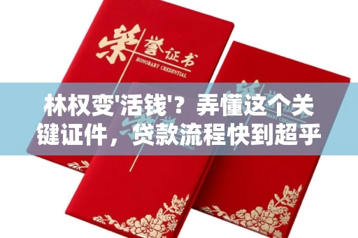昆明林权变'活钱'?弄懂这个关键证件,贷款流程快到超乎想象!
