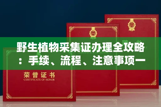 昆明野生植物采集证办理全攻略:手续、流程、注意事项一网打尽